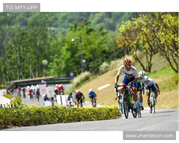 国际赛事激战正酣众星闪耀全面展现体育精神与竞技无穷魅力的风采