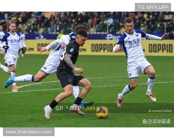 维罗纳俱乐部最新动态引发球迷热议赛季走向焦点全面深度解析全览